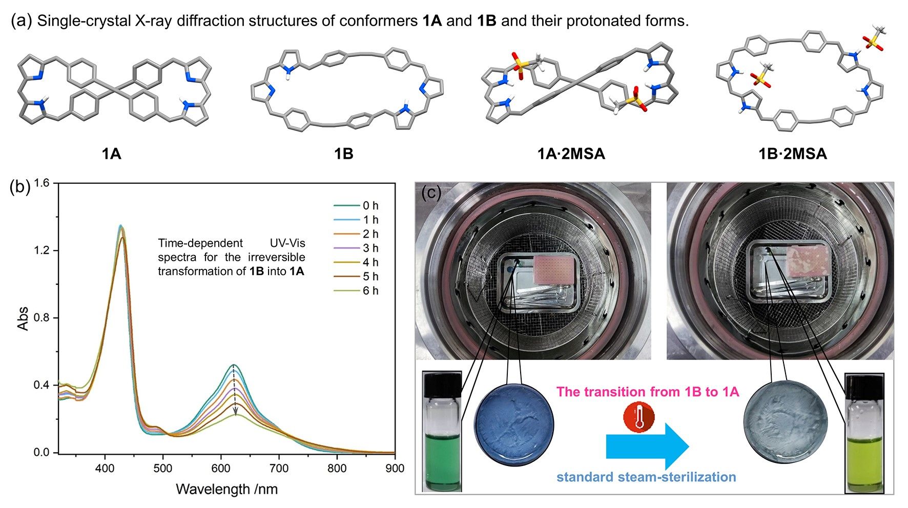 20240902-C2.jpg 20240902-C2.jpg